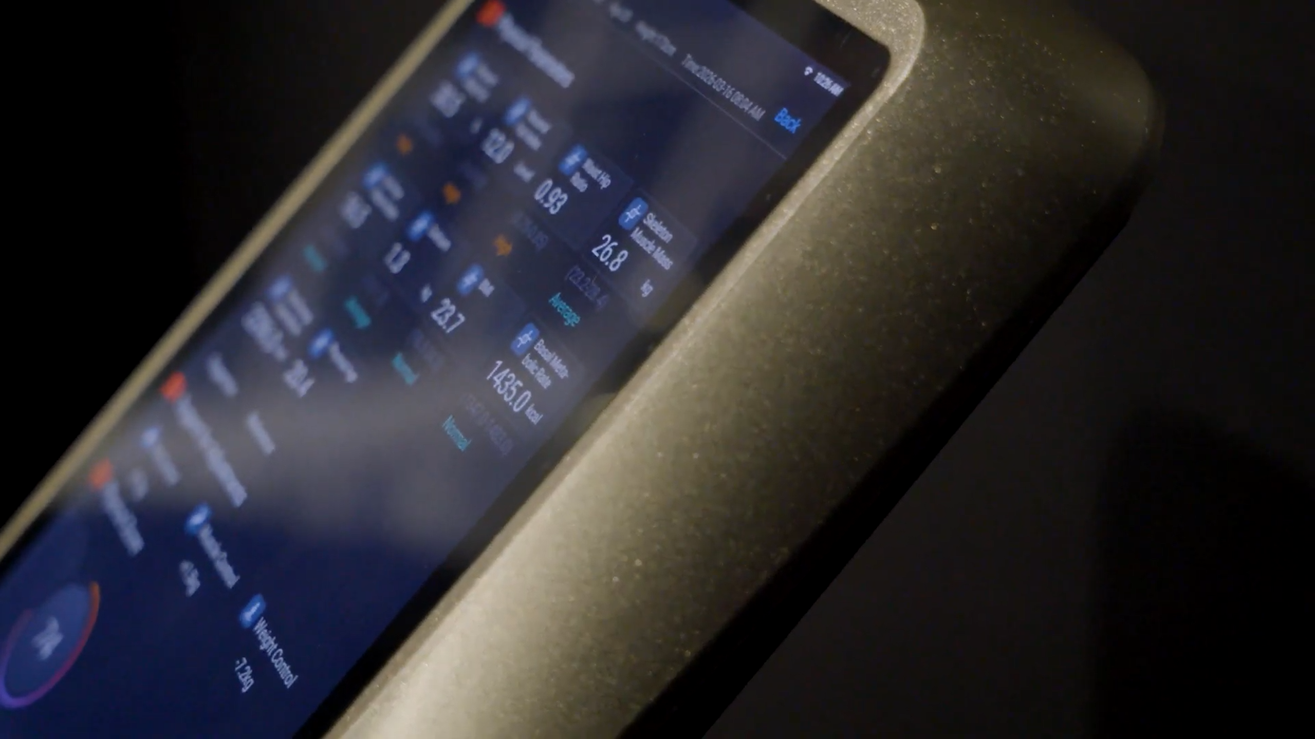 Body composition data on a connected device.